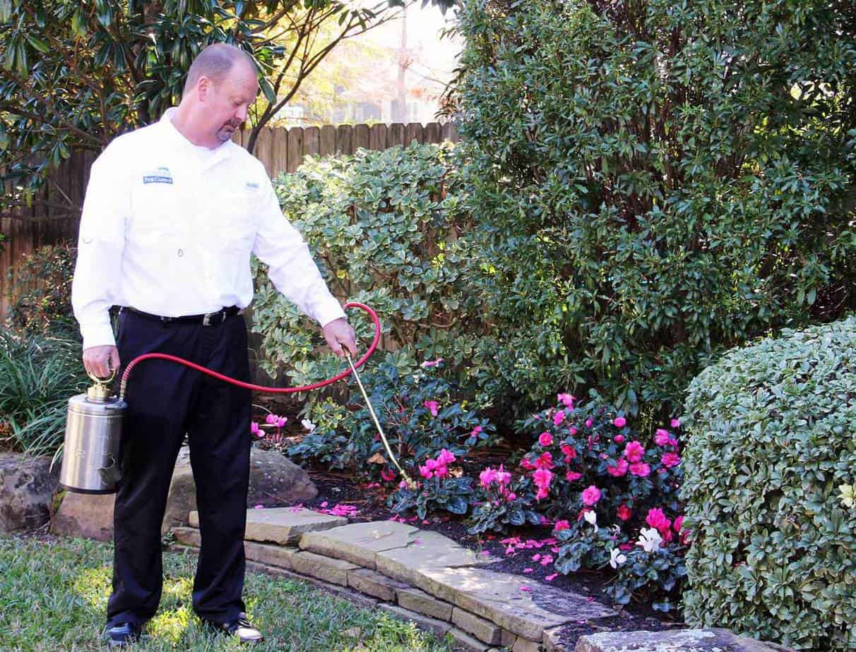 Help with Keeping Your Backyard Mosquitoes Under Control Help with Keeping Your Backyard Mosquitoes Under Control