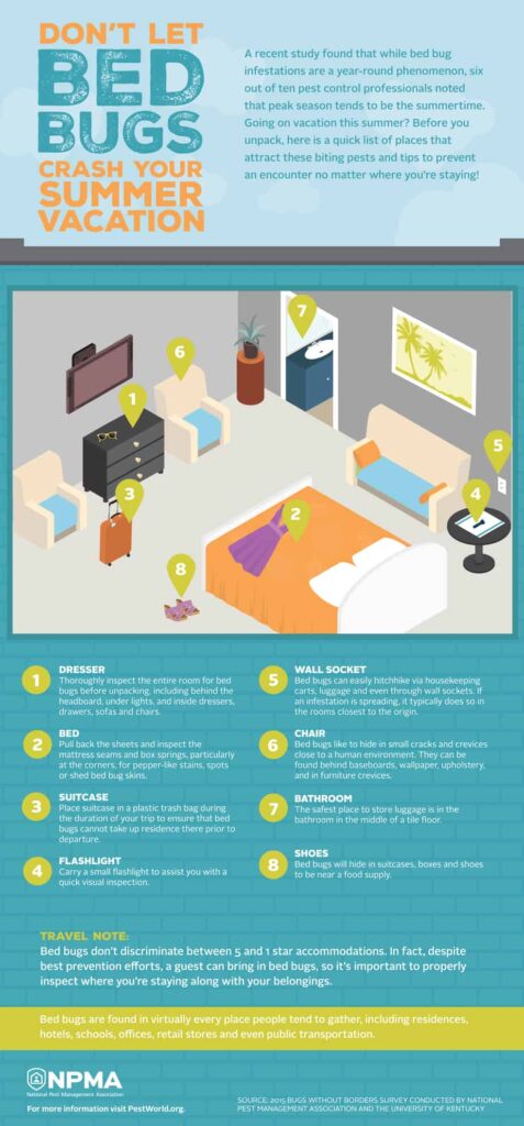 bedbug hotel infographic 053117 1 1