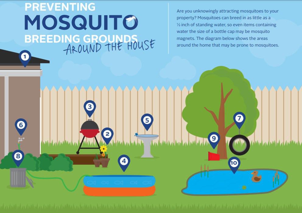 Mosquito Breeding Grounds