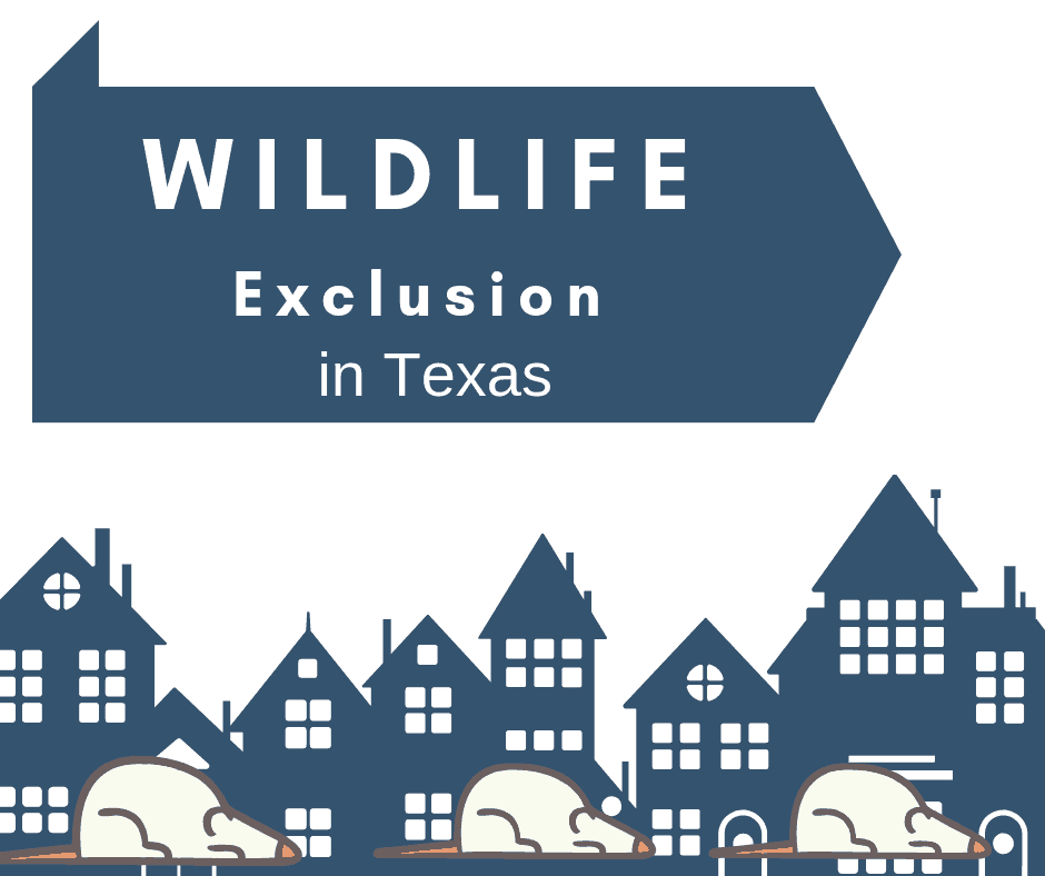 Wildlife Exclusion in Houston, Texas Wildlife Exclusion in Houston, Texas