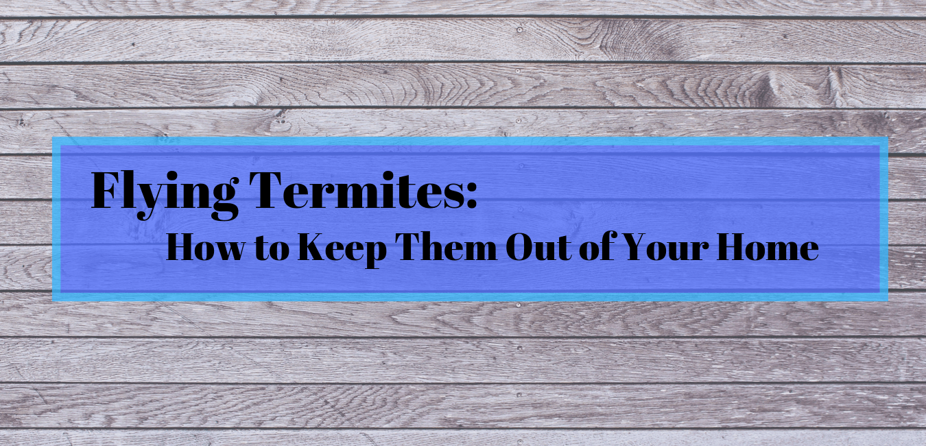 Prevent Flying Termites