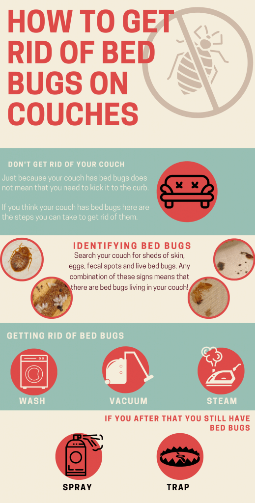 How To Remove Bed Bugs From Your Couch