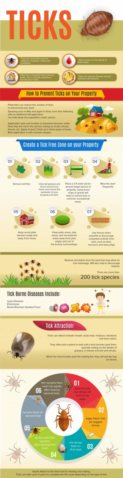 Facts About Ticks