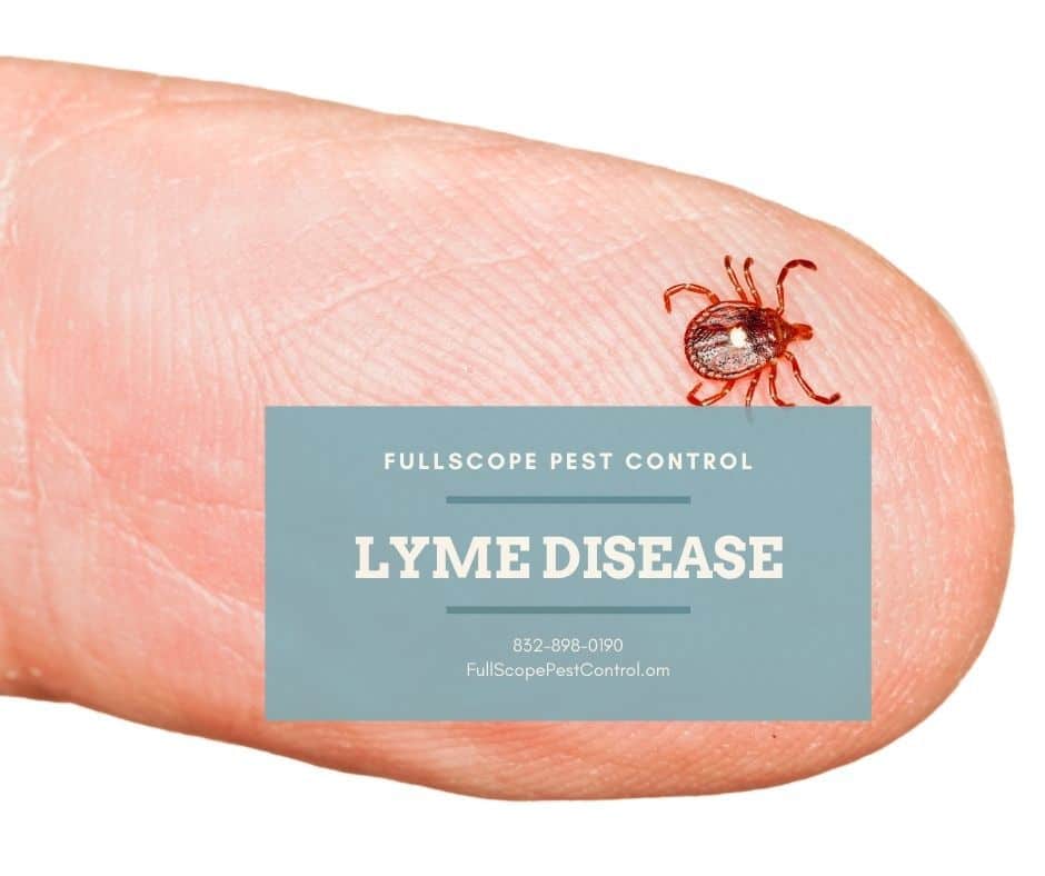 Lyme Disease in Pets - FullScope Pest Control.