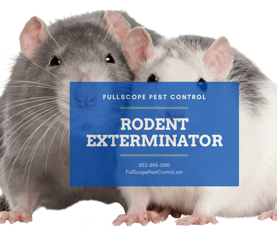 Rodent Exterminators FullScope Pest Control