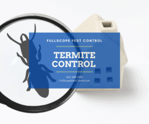 Termite Control in Kingwood