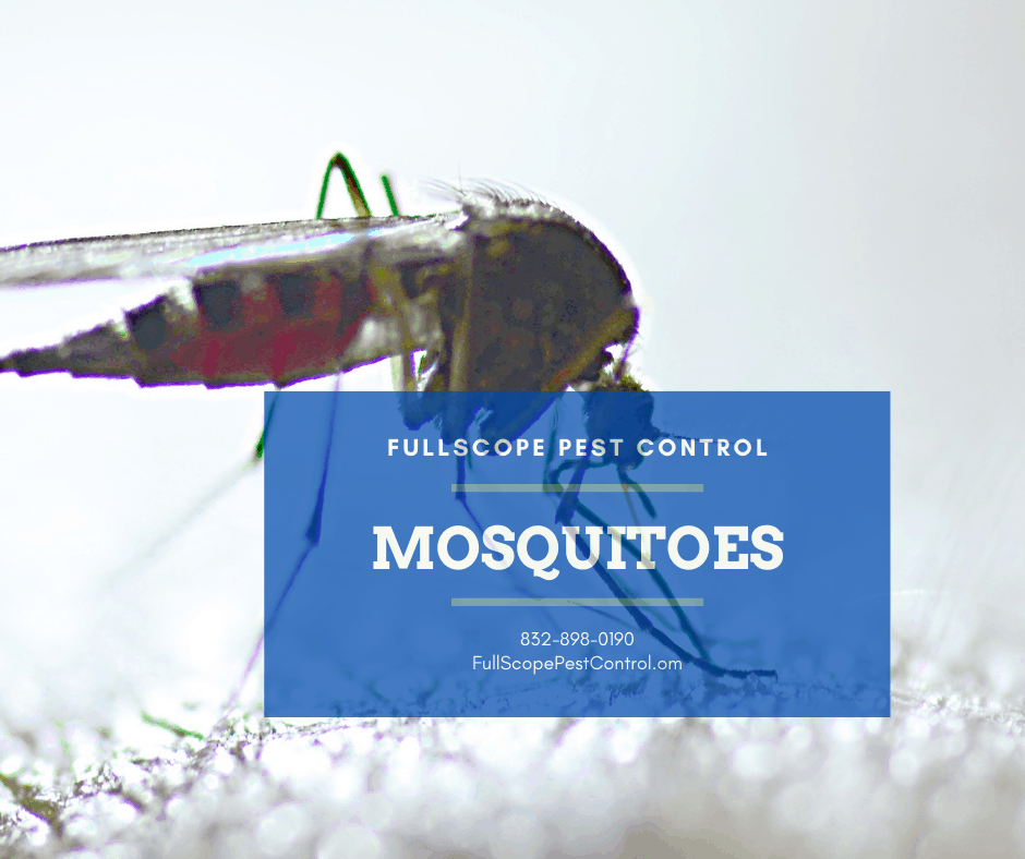 Mosquito Control Barrier Spray Mosquito Control Barrier Spray