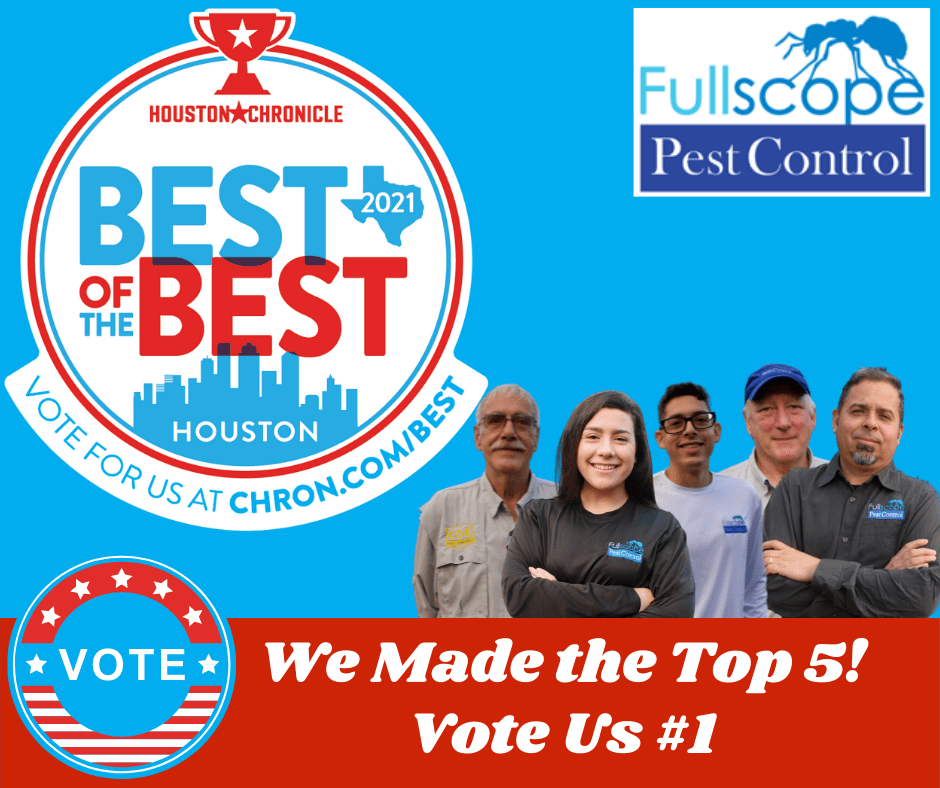 Best of Best Houston Best of Best Houston