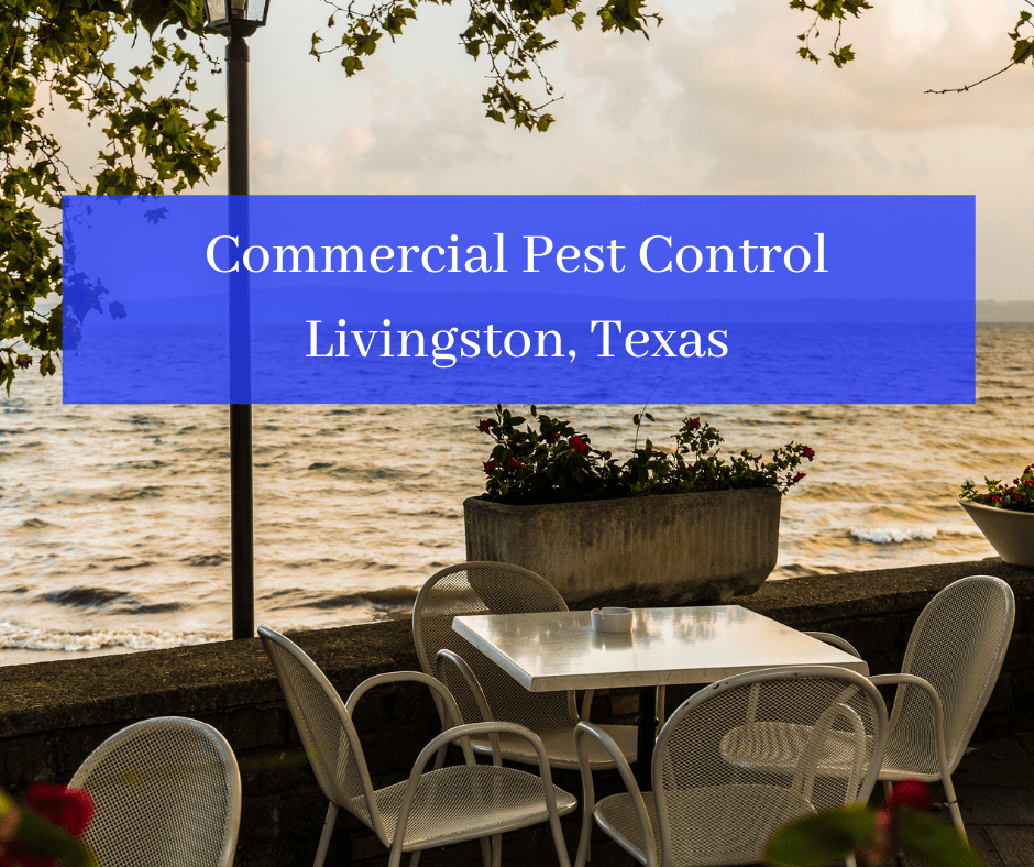 Commercial Pest Control Livingston TX Commercial Pest Control Livingston TX