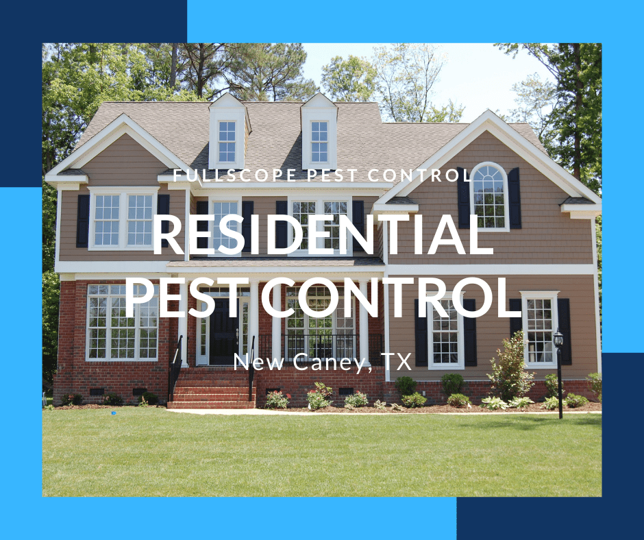 Residential Pest Control Livingston TX Residential Pest Control New Caney TX