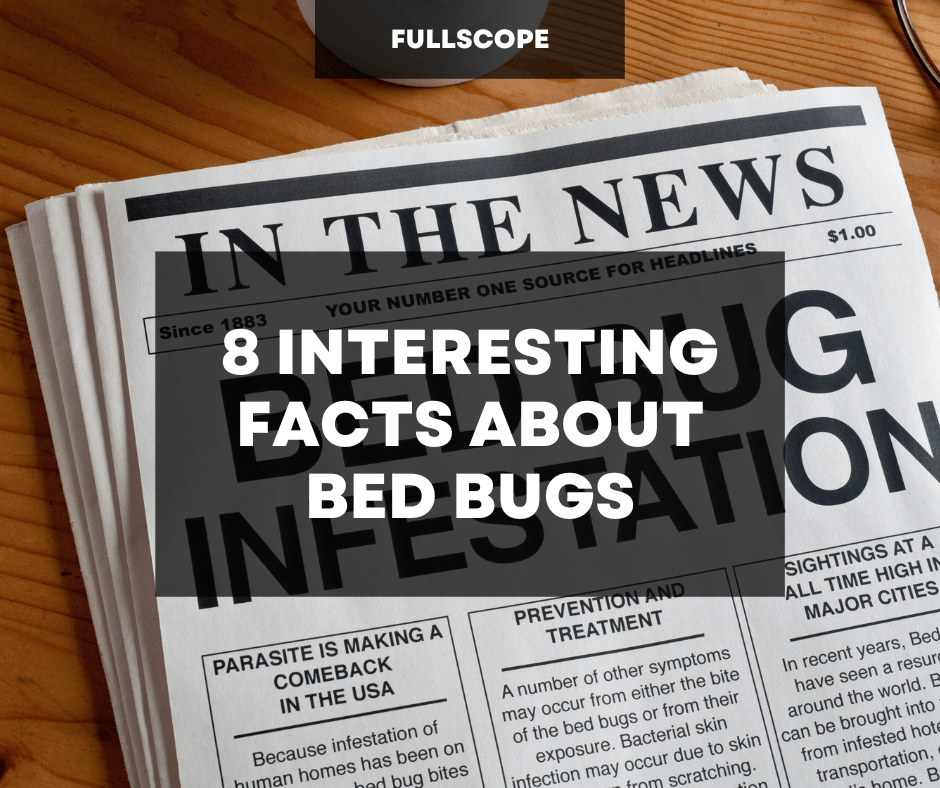 facts about bed bugs