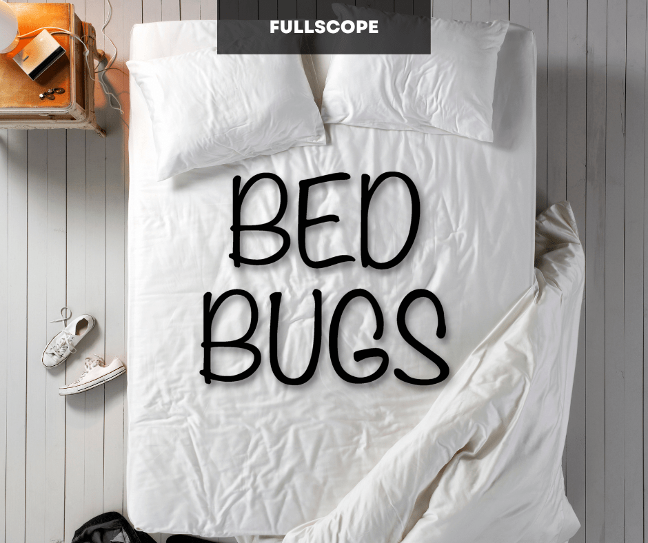 Does heat kill bed bugs