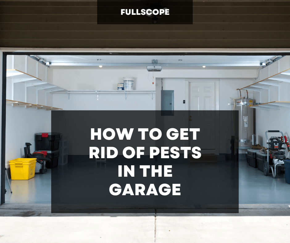Pest in Garage Extermination