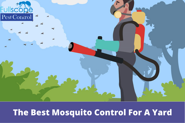 What Is The Best Mosquito Control For A Yard