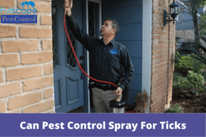 Can Pest Control Spray For Ticks