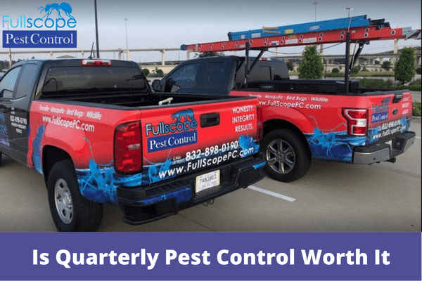 Is Quarterly Pest Control Worth It