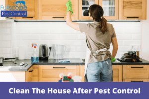 Should I Clean The House After Pest Control