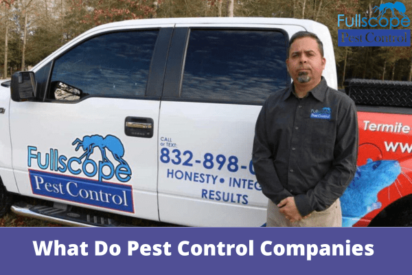What Do Pest Control Companies Use for Roaches