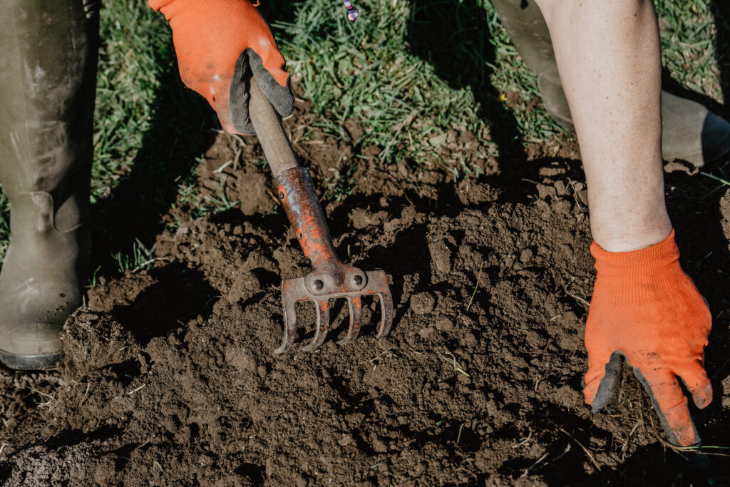 The Green Secret: Benefits of Annual Lawn Soil Testing