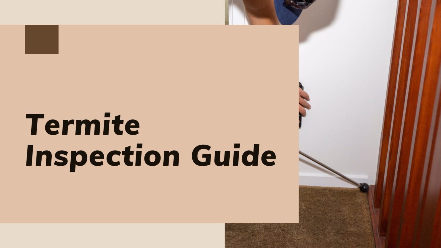 Complete Guide to Termite Inspection